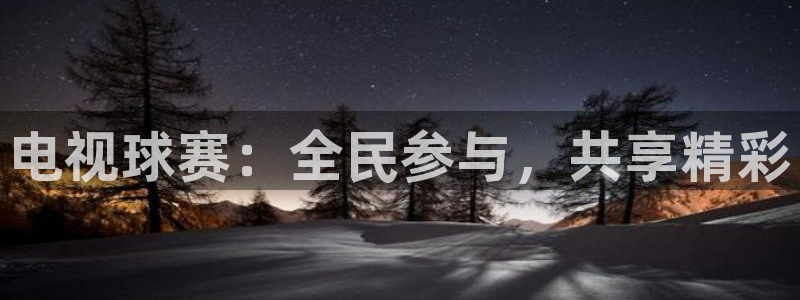 电视球赛：全民参与，共享精彩